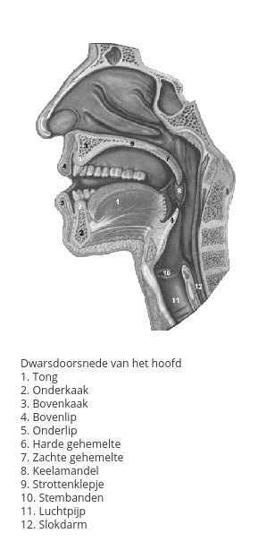 keelkanker symptomen en diagnostiek 